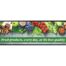 Samsung 37-Inch Commercial LED LCD Half-Height Stretched Display PN SH37C